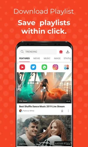 Playlist Downloads